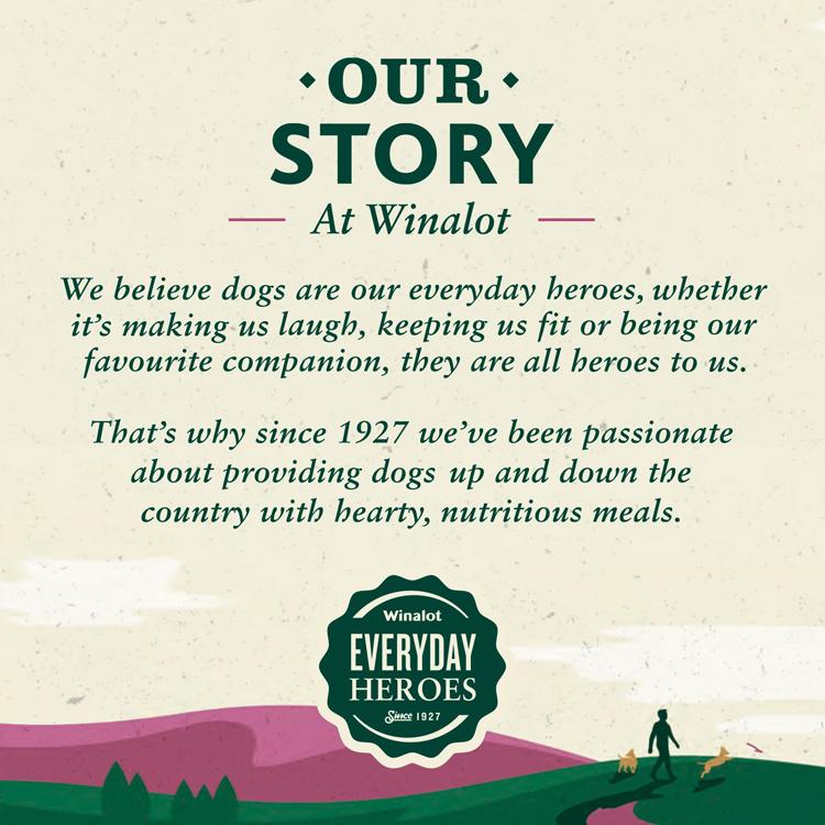 Winalot Small Adult Wet Dog Food - Mixed Selection in Jelly