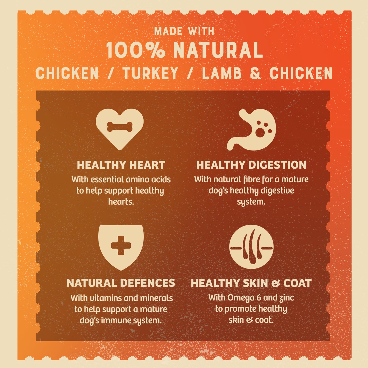 James Wellbeloved Grain Free Senior Wet Dog Food Turkey, Lamb & Chicken