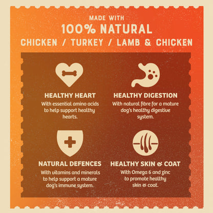 James Wellbeloved Grain Free Senior Wet Dog Food Turkey, Lamb & Chicken