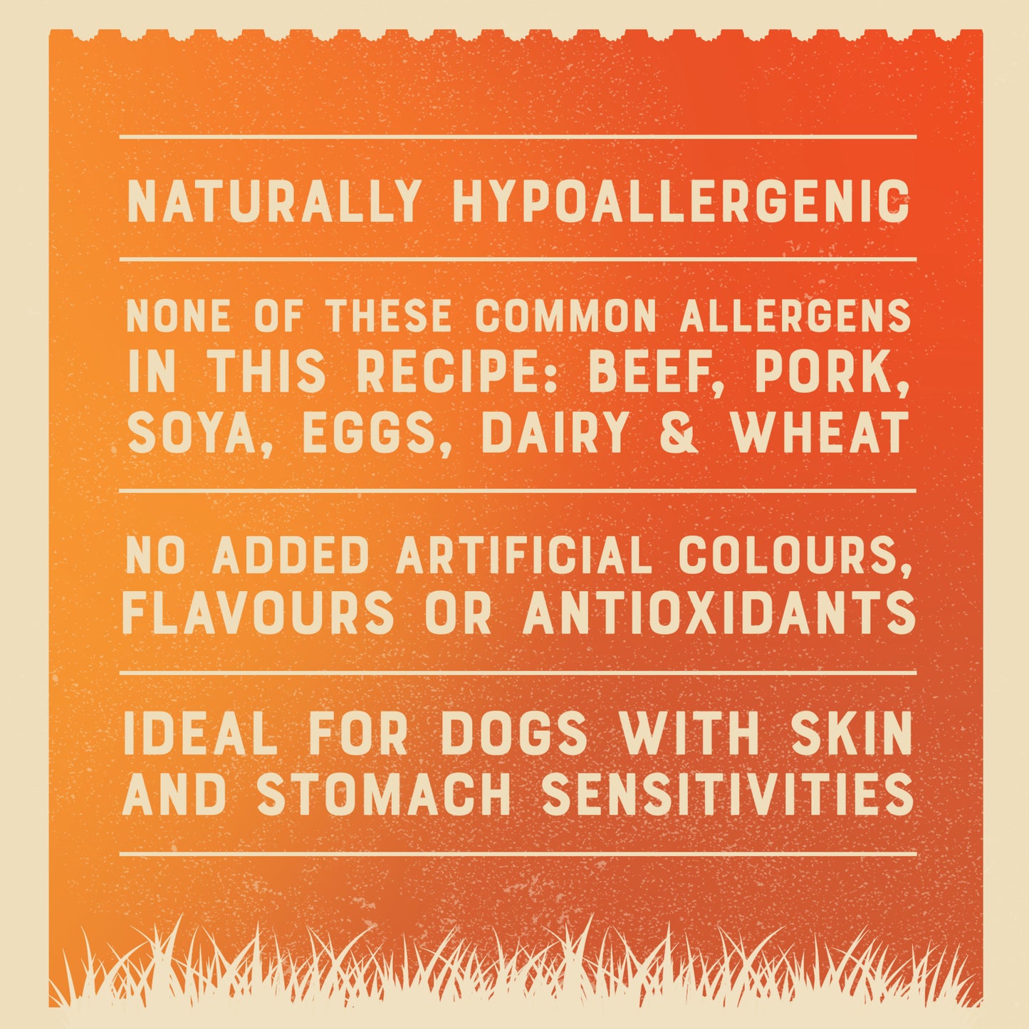 James Wellbeloved Senior Wet Dog Food Turkey, Lamb & Chicken