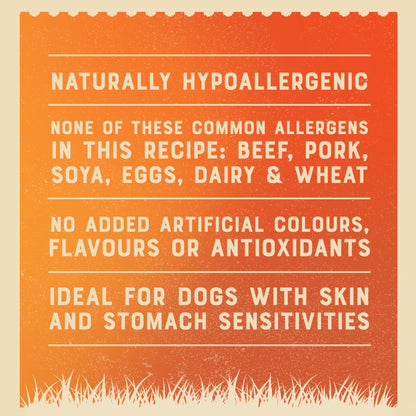 James Wellbeloved Senior Wet Dog Food Turkey, Lamb & Chicken