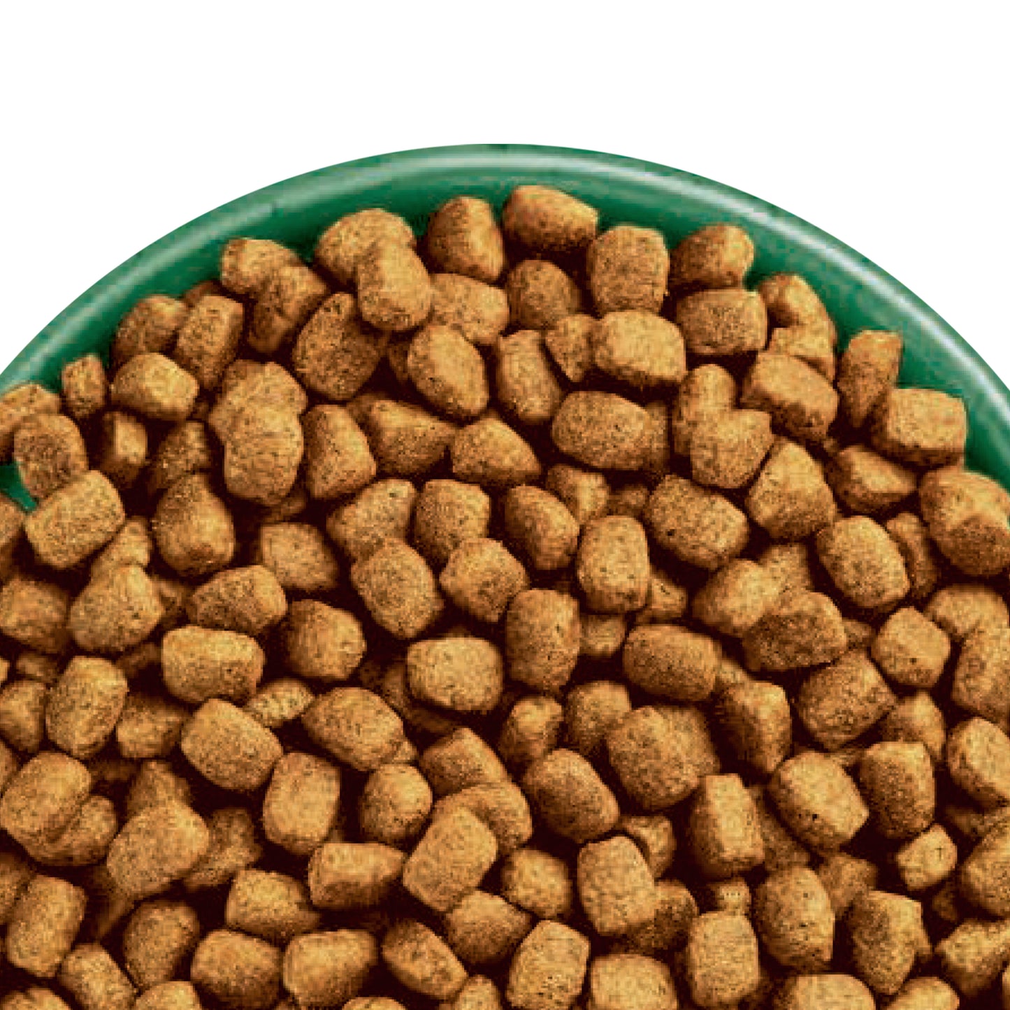 James Wellbeloved Superfoods Adult Small Breed Dry Dog Food Turkey with Kale & Quinoa