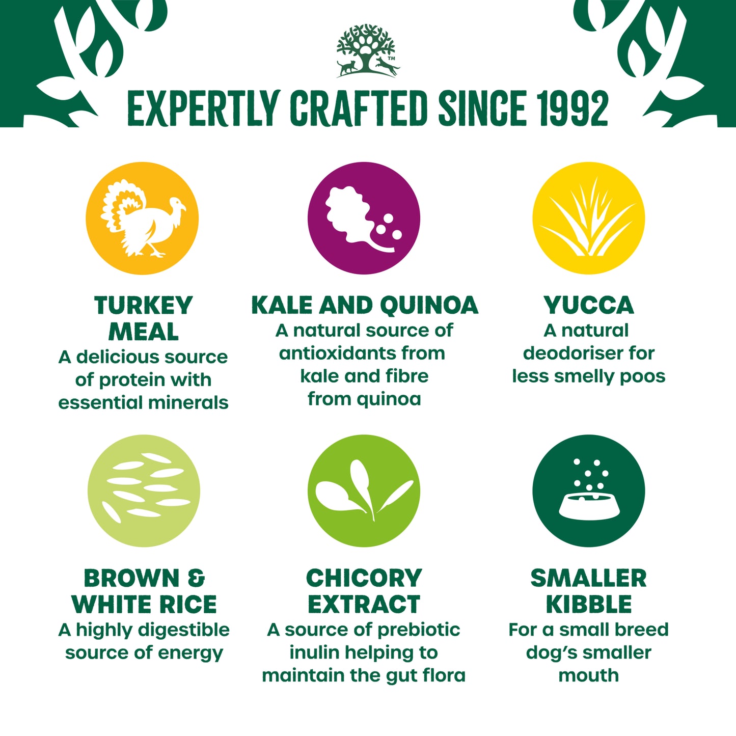 James Wellbeloved Superfoods Adult Small Breed Dry Dog Food Turkey with Kale & Quinoa