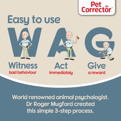 Company of Animals Pet Corrector Spray for Dog