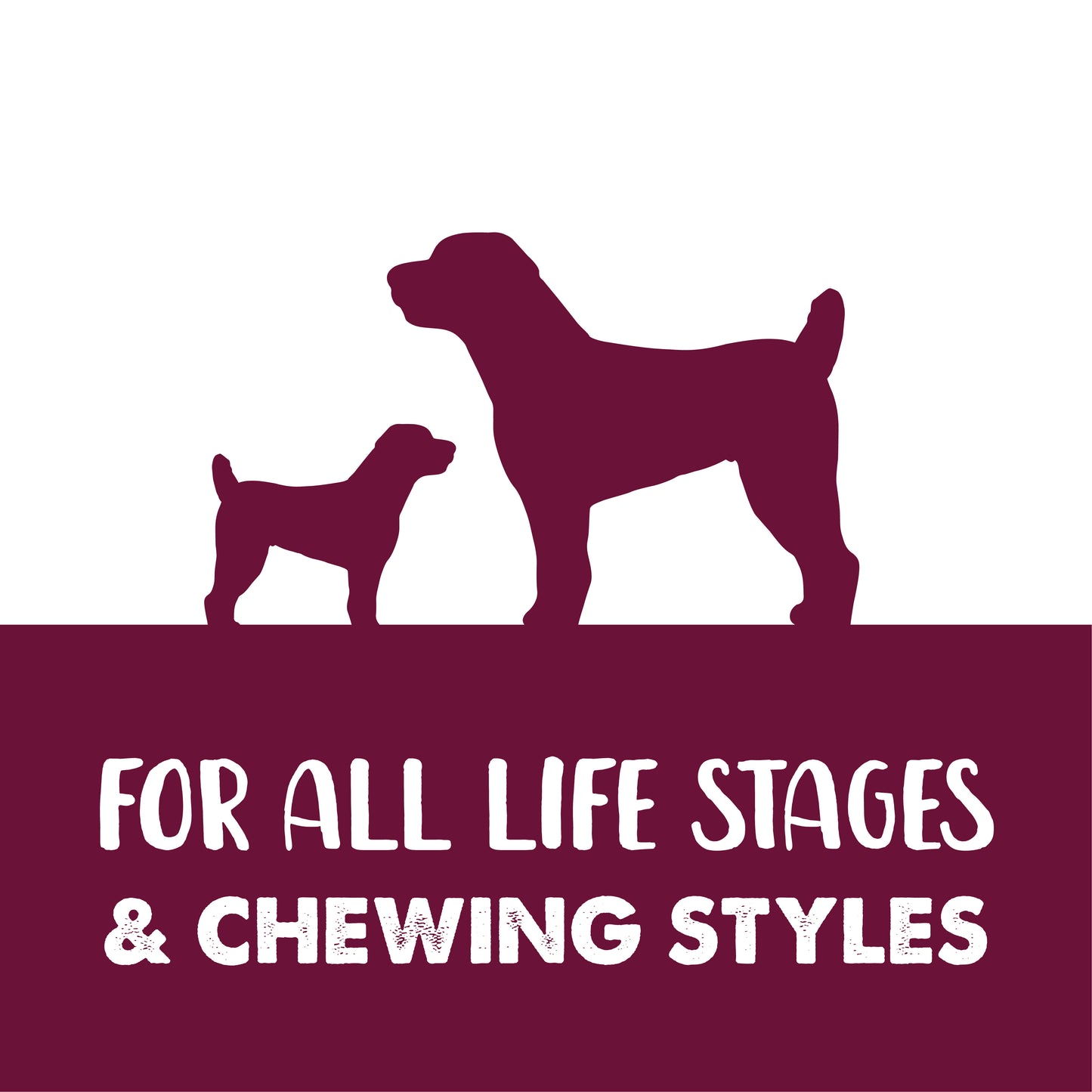 Zeus Better Bones Dog Treats - Duck & Cranberry Twist