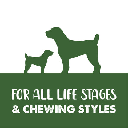 Zeus Better Bones Dog Treats - Lamb & Mint Wrap