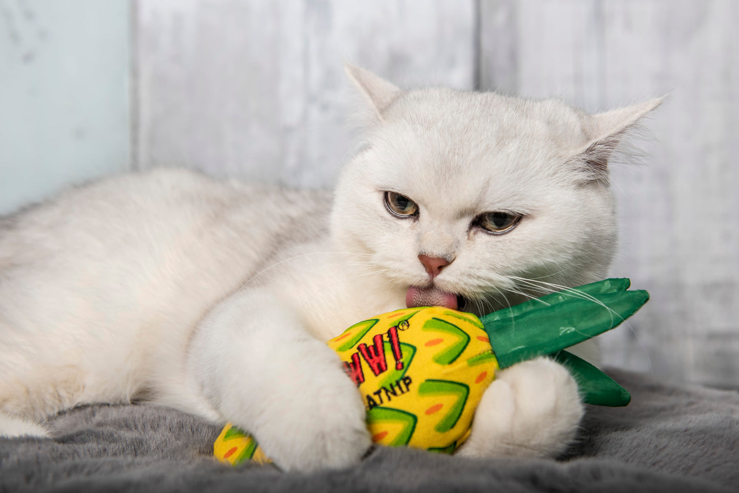 Yeowww! Catnip Pineapple Cat Toy