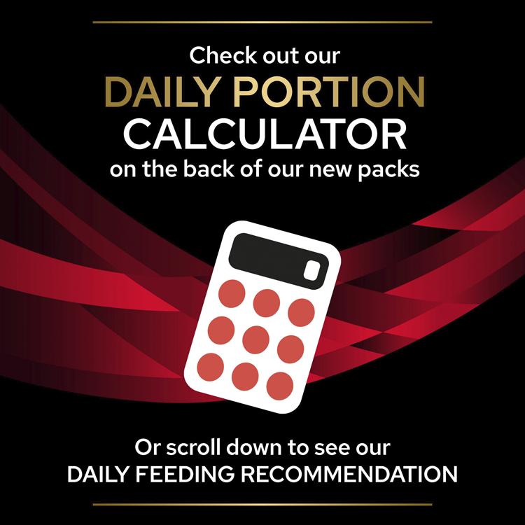 Purina Pro Plan Veterinary Diets DM Diabetes Management Adult Dry Dog Food