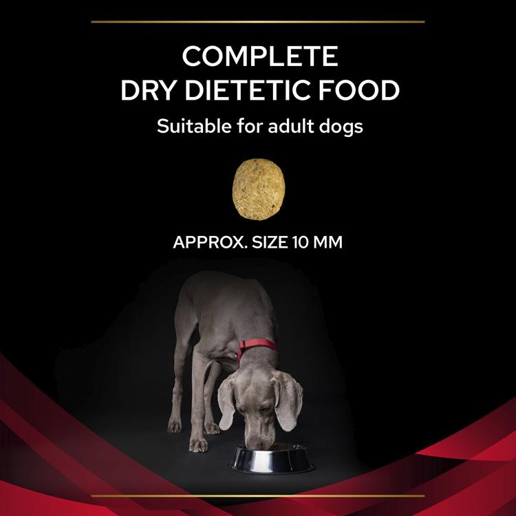Purina Pro Plan Veterinary Diets DM Diabetes Management Adult Dry Dog Food