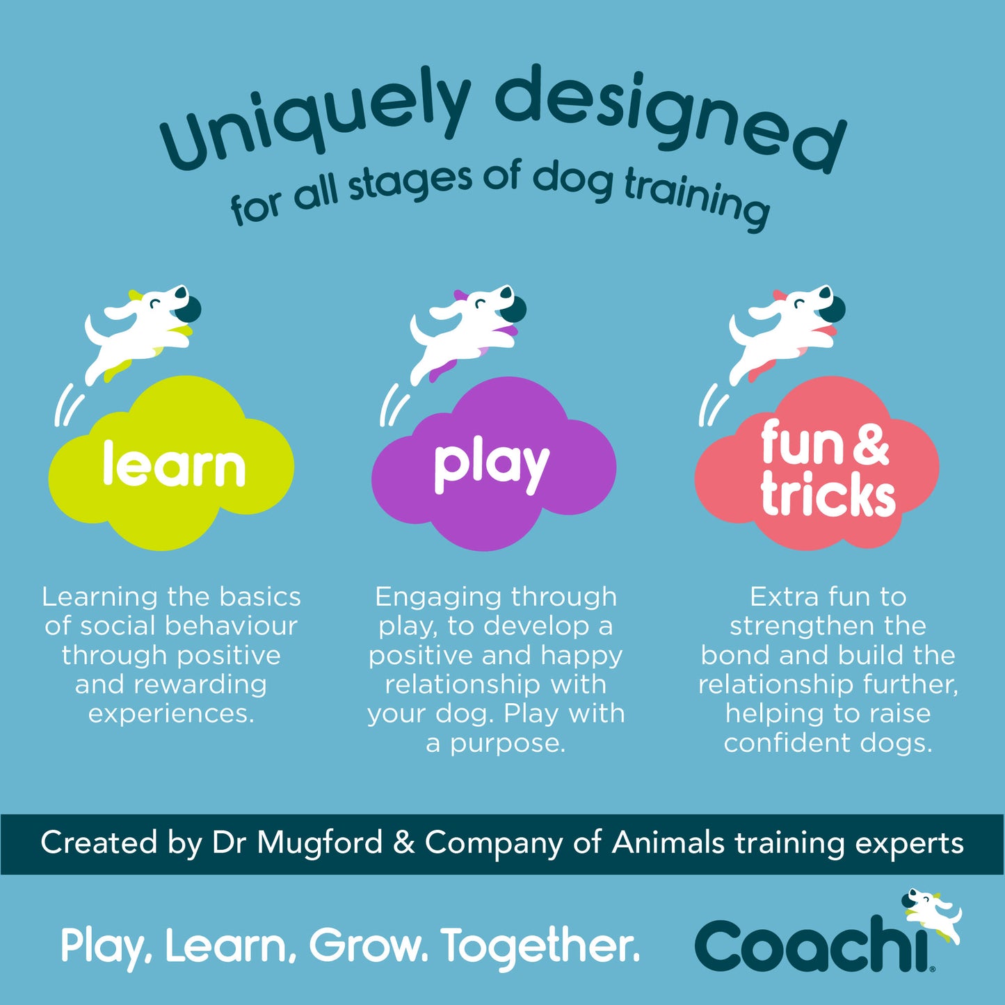 Coachi Puppy Training Line for Dogs - Navy