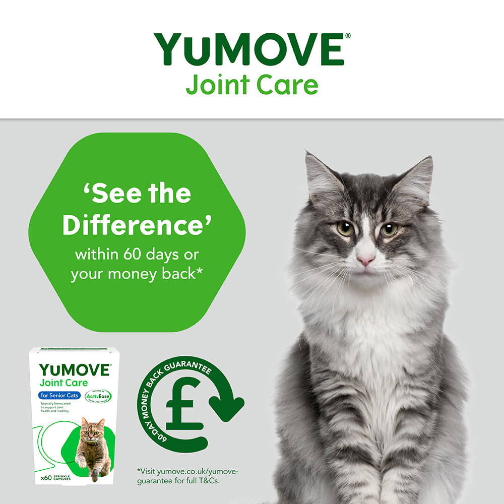 YuMOVE Joint Care Supplement for Senior Cats