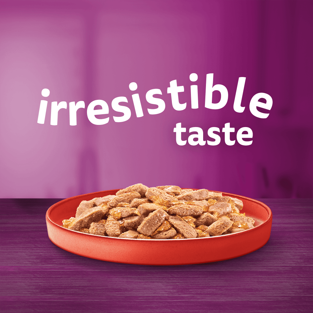 Whiskas Meaty Menu in Jelly 1+ Adult Wet Cat Food Tin