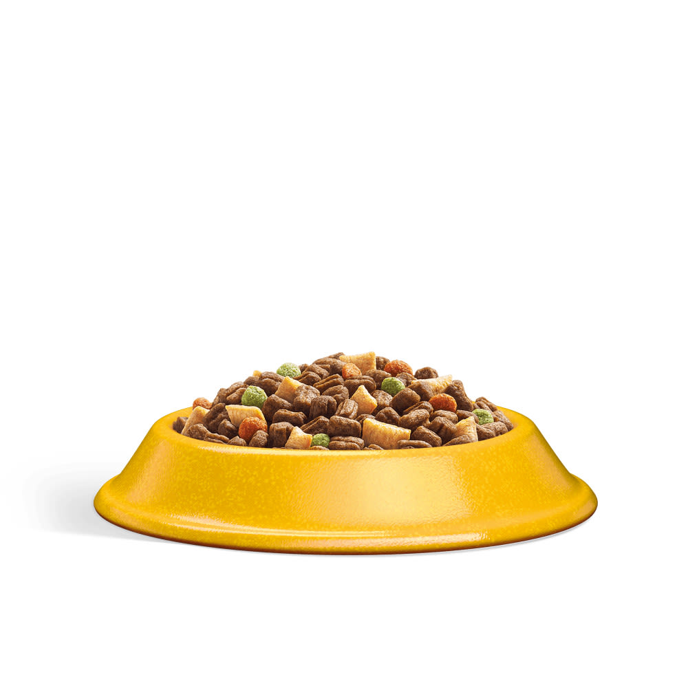 Whiskas 1+ Chicken Adult Dry Cat Food