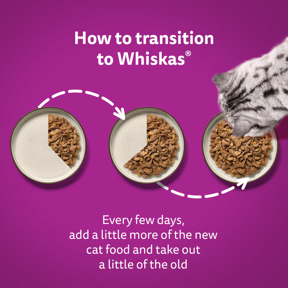Whiskas 1+ Mixed Menu Adult Wet Cat Food Pouches in Jelly