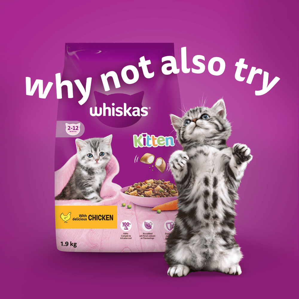 Whiskas Cat Pouches Poultry Feasts in Jelly 2-12Months Wet Kitten Food
