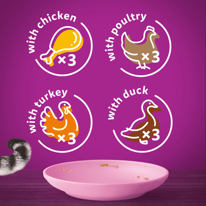 Whiskas Cat Pouches Poultry Feasts in Jelly 2-12Months Wet Kitten Food