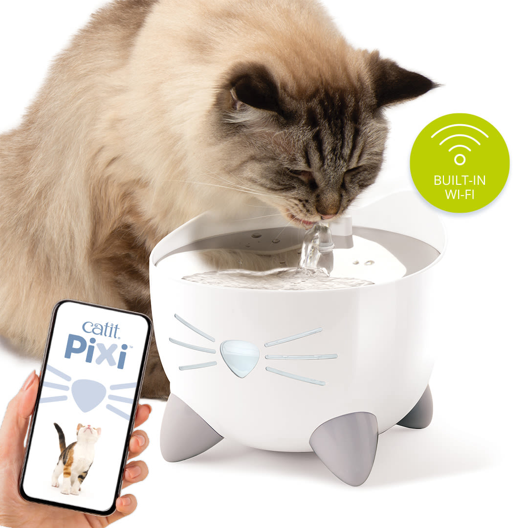 Catit Pixi Cat Smart Drinking Fountain – Pet Supermarket