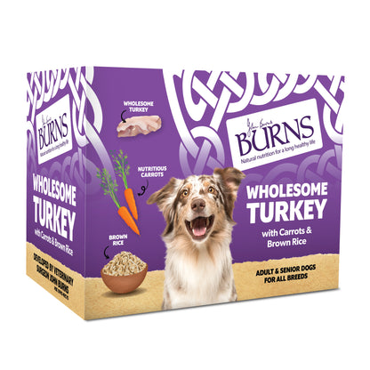 Burns Gluten-free Adult & Senior Wet Dog Food - Wholesome Turkey
