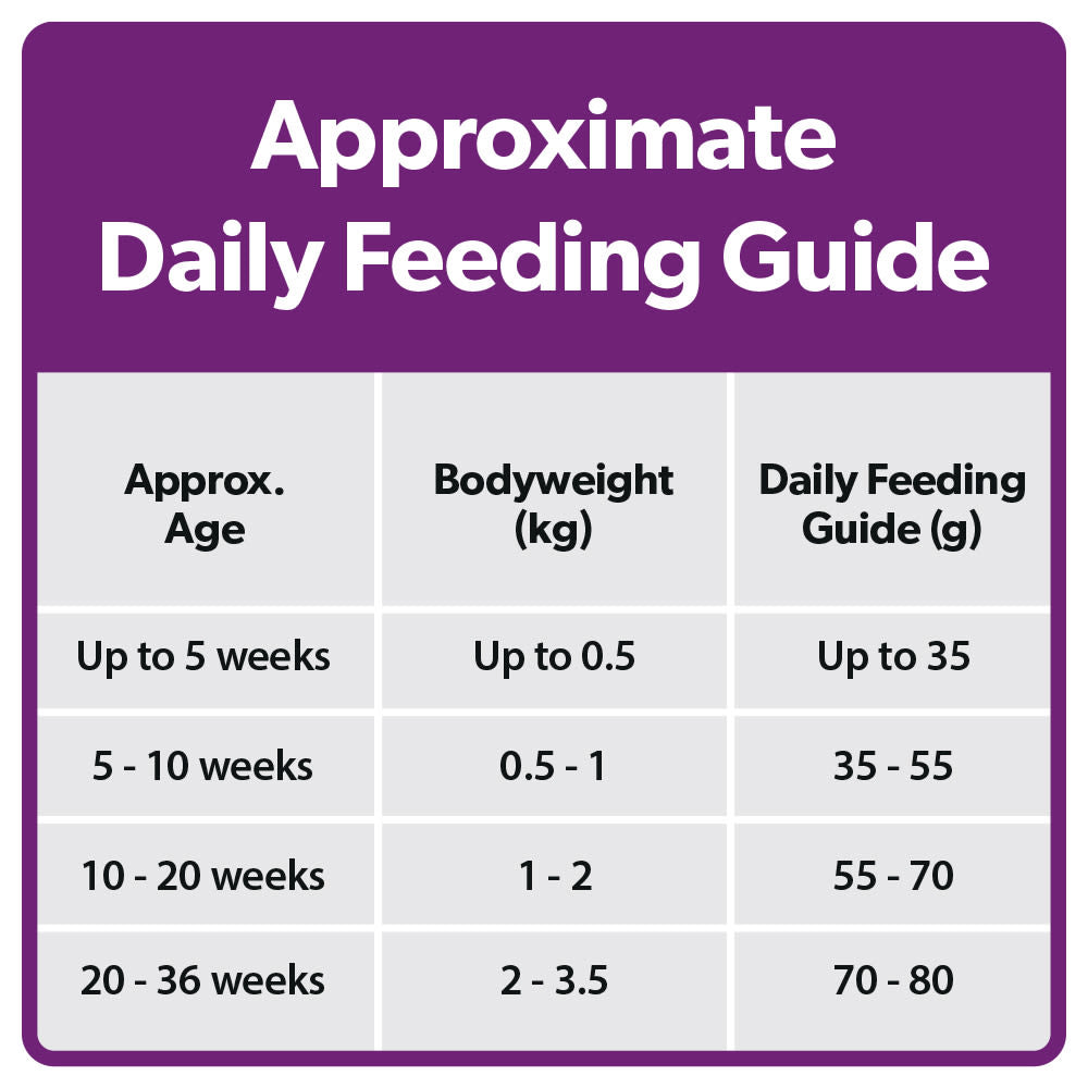 Burns Kitten Dry Cat Food - Chicken & Rice