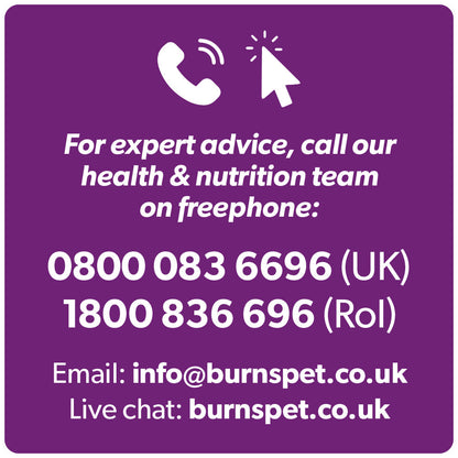 Burns Kitten Dry Cat Food - Chicken & Rice