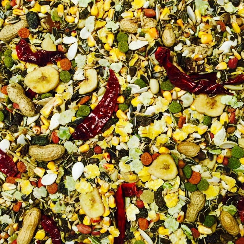 Bucktons Fruity Parrot Blend Elite Parrot Food