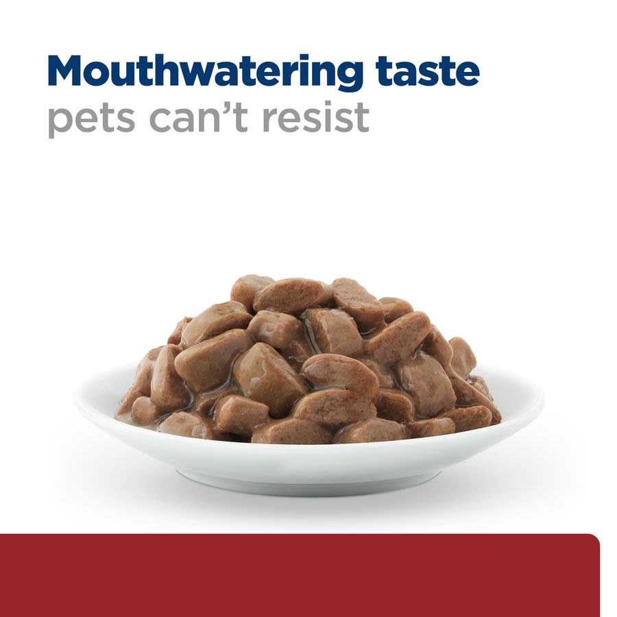 Hill's Prescription Diet Gastrointestinal Biome Wet Cat Food - Chicken