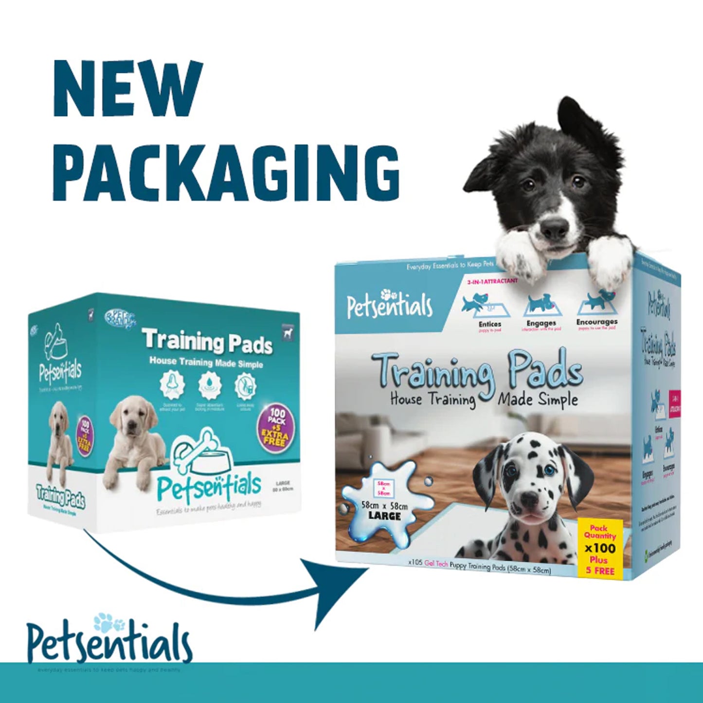 Petsentials Scented Puppy Dog Training Pads