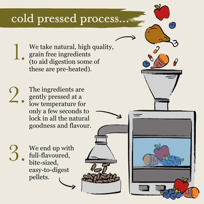 Forthglade Complete Natural Cold Pressed Dry Dog Food -  Chicken with Sweet Potato 10kg