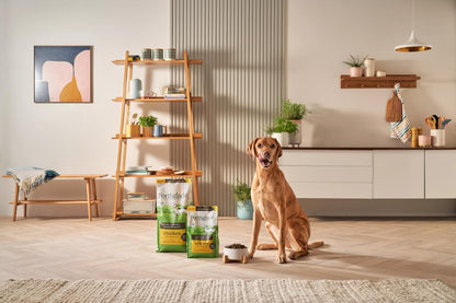 Forthglade Lightly Baked Natural Dry Dog Food - Chicken with Sweet Potato