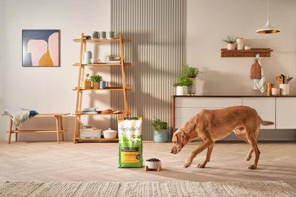 Forthglade Lightly Baked Natural Dry Dog Food - Chicken with Sweet Potato