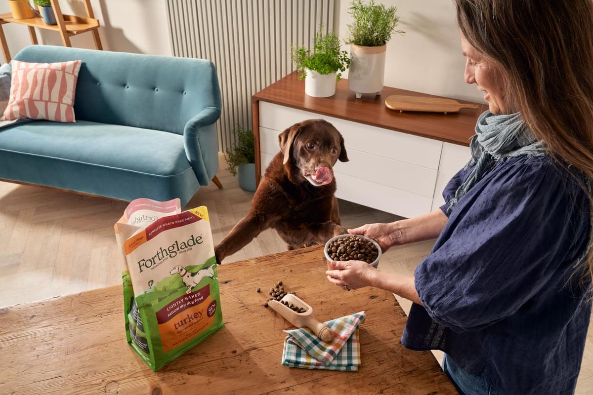 Forthglade Lightly Baked Natural Dry Dog Food - Turkey with Sweet Potato