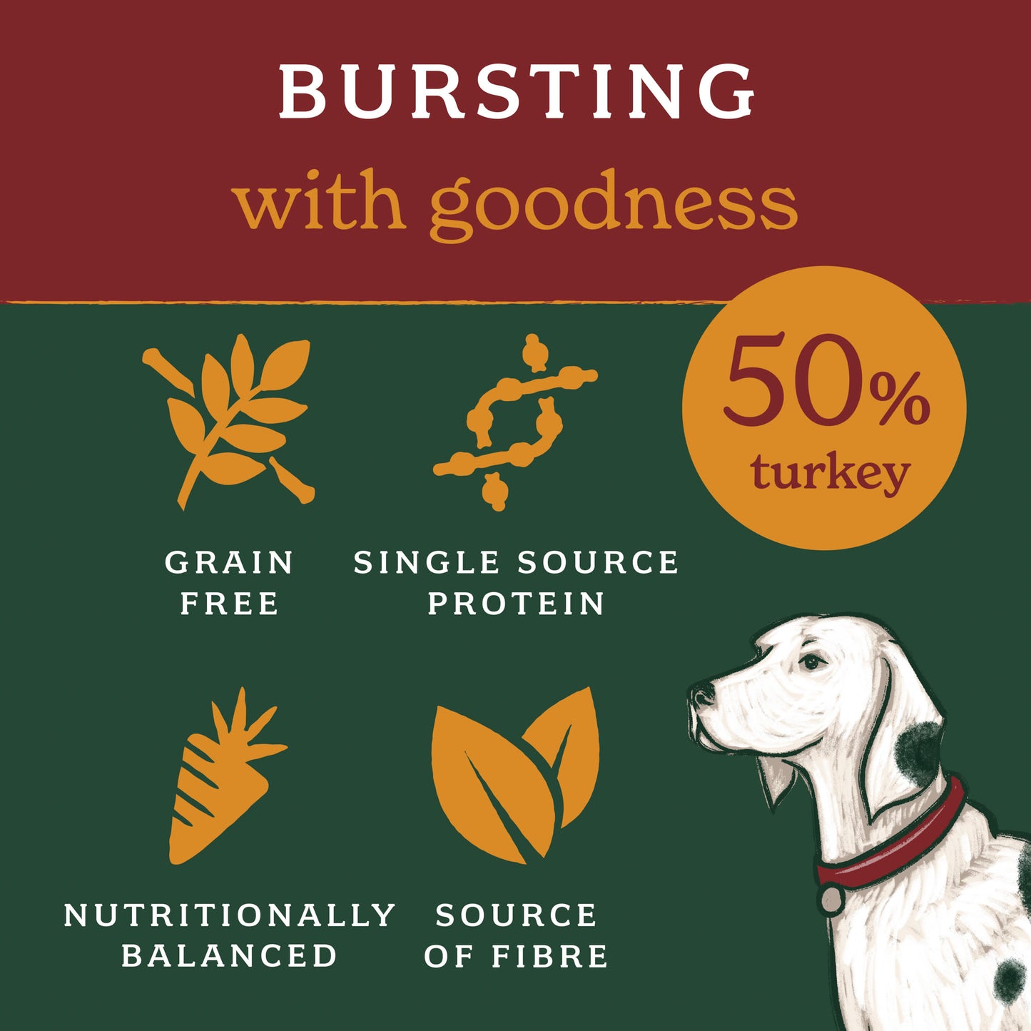 Forthglade Lightly Baked Natural Dry Dog Food - Turkey with Sweet Potato
