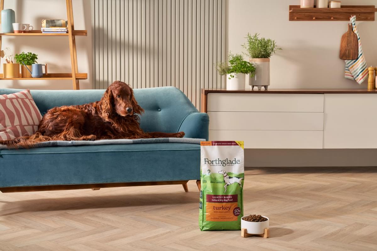 Forthglade Lightly Baked Natural Dry Dog Food - Turkey with Sweet Potato