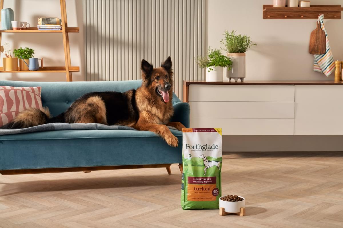 Forthglade Lightly Baked Natural Dry Dog Food - Turkey with Sweet Potato