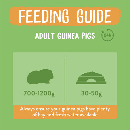 Burgess Excel Adult Guinea Pig Nuggets - Mint