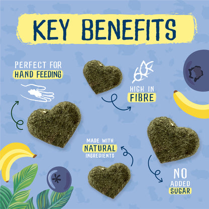 Burgess Excel Nature Snacks Fruity Feasts - Banana & Blueberry