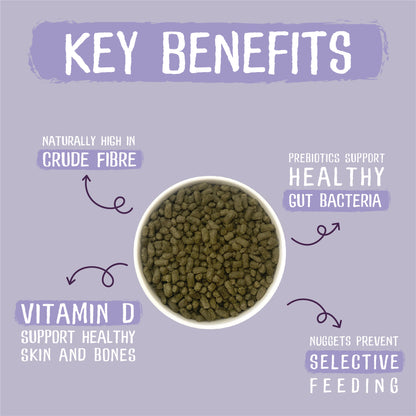 Burgess Excel Indoor Rabbit Nuggets - Dandelion & Nettle