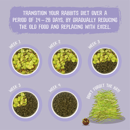 Burgess Excel Indoor Rabbit Nuggets - Dandelion & Nettle