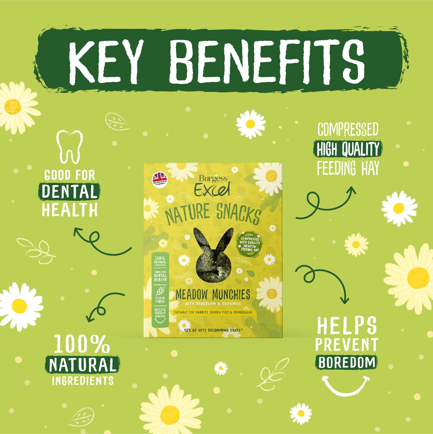 Burgess Excel Nature Snacks Meadow Munchies Hay - Dandelion & Camomile