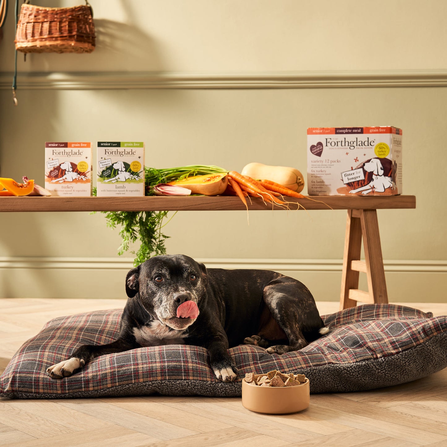 Forthglade Complete Meal Grain-free Senior Wet Dog Food - Variety Pack