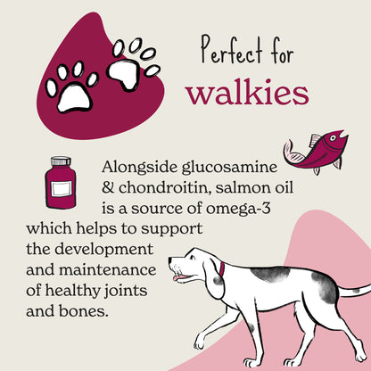 Forthglade Multi-functional Joints & Bones Natural Soft Dog Bites