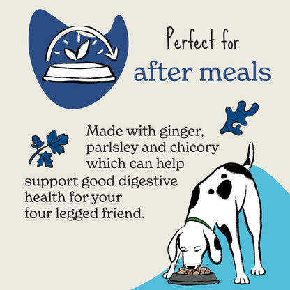 Forthglade Functional Digestive Health Natural Soft Bites Dog Treats - Ginger, Parsley & Chicory