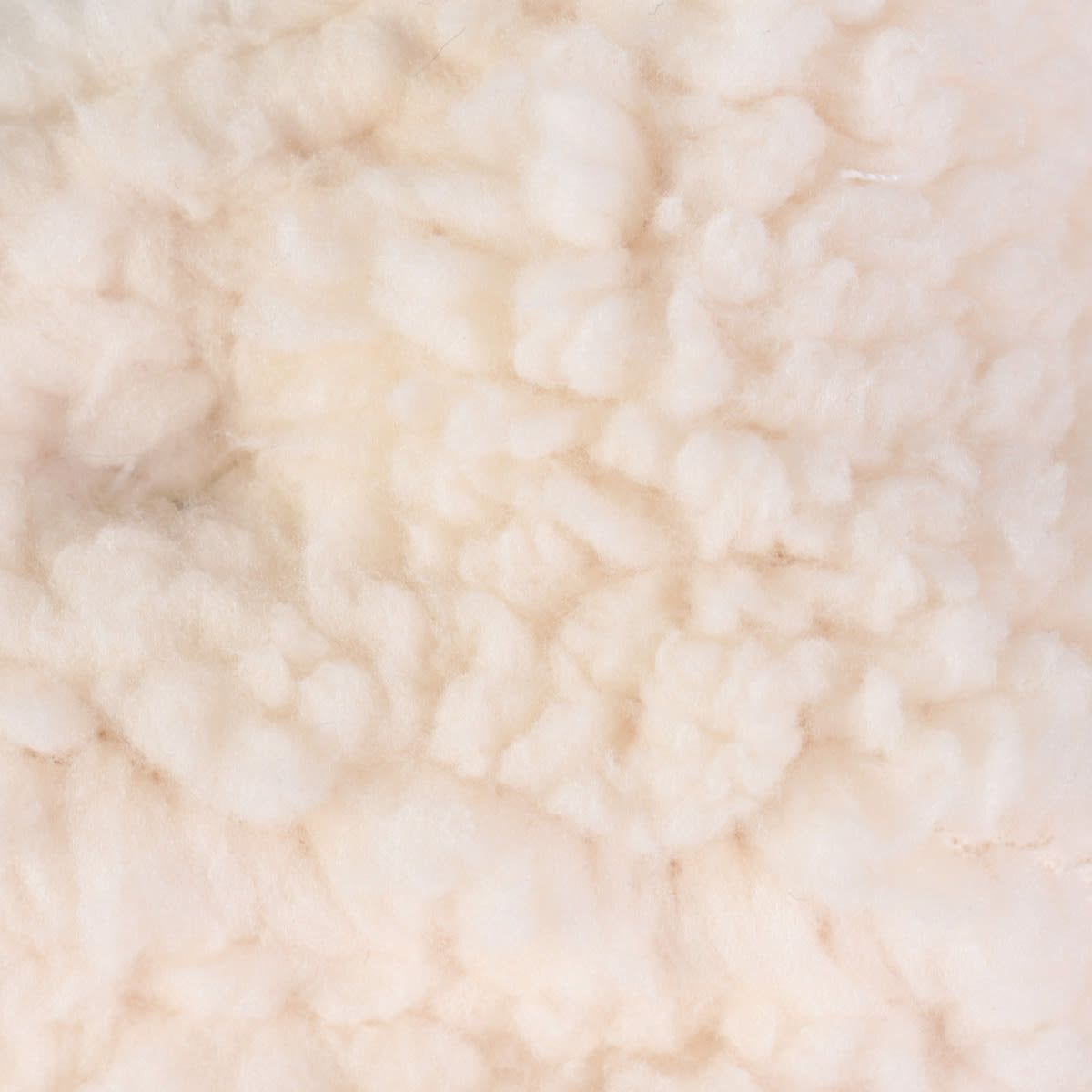 Cath Kidston Bees Printed Soft Yellow Dog Harness