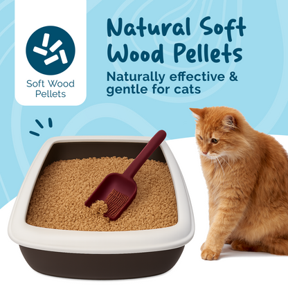 Petsentials Biodegradable Wood Based Pine Scent Cat Litter