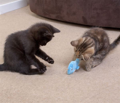 Ministry of Pets Norman the Narwhal Catnip Tube Cat Toy