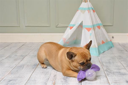 Ministry of Pets Bertie the Bat 2 in 1 Squeaker Dog Toy