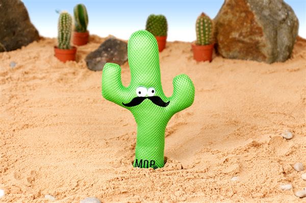 Ministry of Pets Carlos the Cactus Plush Rope Dog Toy