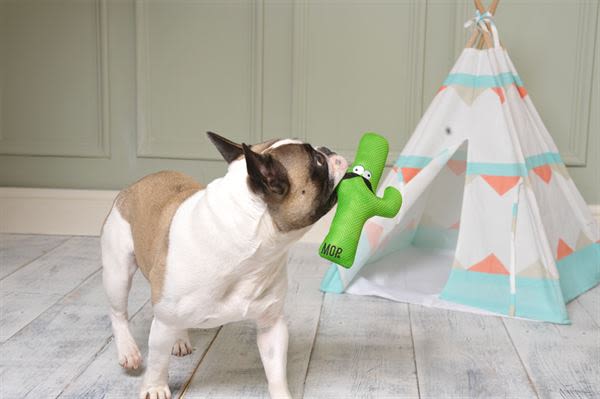 Ministry of Pets Carlos the Cactus Plush Rope Dog Toy