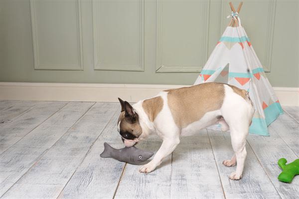 Ministry of Pets Sidney the Shark Squeaky Plush Dog Toy
