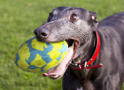 Foaber Kick Foam Rubber Ball Dog Toy